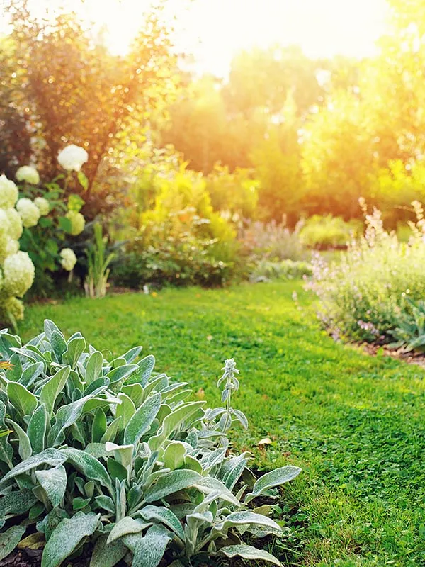 Garten